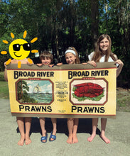 Load image into Gallery viewer, Broad River Beach Towel
